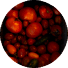 moving text img